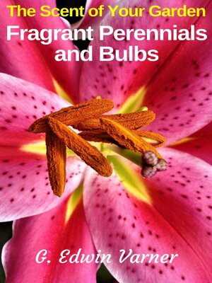 cover image of The Scent of Your Garden